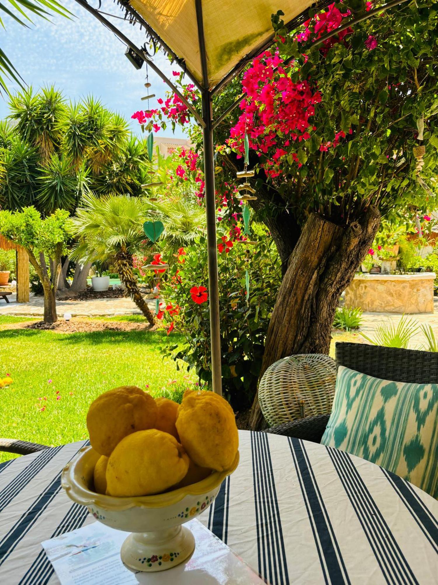 فيلا Casita Limon أندراتكس المظهر الخارجي الصورة